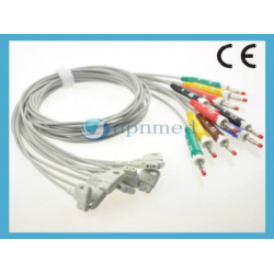 Philips(Netherlands)Trim III 10-lead leadwires, Clip, IEC (arm lead .1cm/54 in,2 .2 3leg lead cm/56 in)