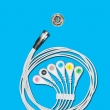 Shanghai quntian ECG Cable / Shanghai quntian metal head Leadwires