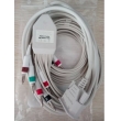 Philips(Netherlands)PW TC20 10-Lead Patient Cable IEC