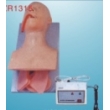 human trachea intubation model